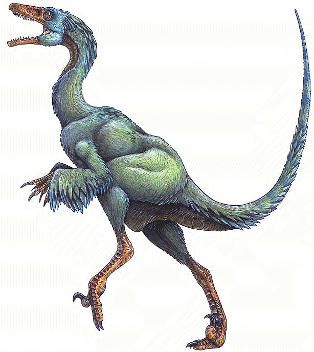 stenonychosaurus troodon